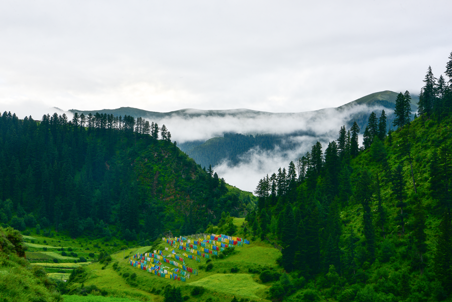“雪山大地·影像季”参赛作品展（十八）