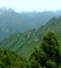 青海省對(duì)天然林保護(hù)工程進(jìn)行績(jī)效評(píng)價(jià)，對(duì)2018年度森林管護(hù)工作進(jìn)行了巡回監(jiān)理，實(shí)現(xiàn)績(jī)效評(píng)價(jià)和監(jiān)理工作的全覆蓋。